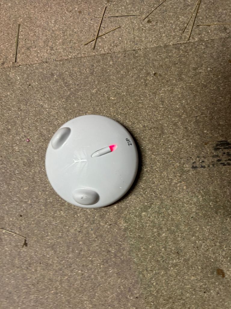 Cat lazer toy