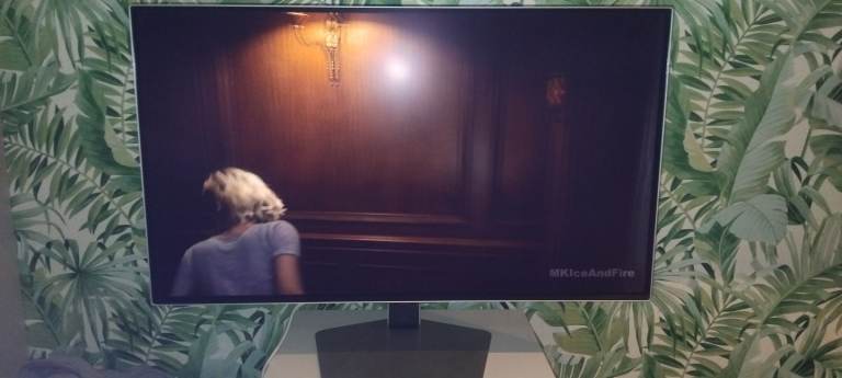 Samsung G8  4k OLED Monitor 32"