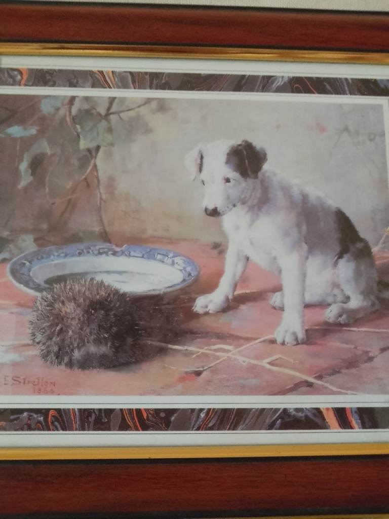A reproduction of a Philip Eustace Stretton dog & Hedgehog painting 