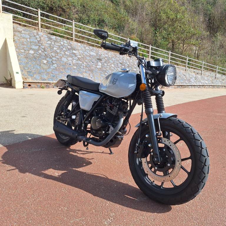  MUTT FSR, 2022, 125 (cc)