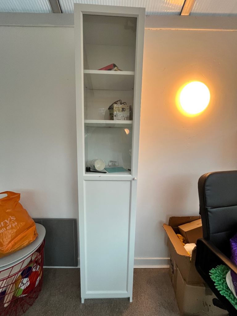 Ikea Billy Bookcase