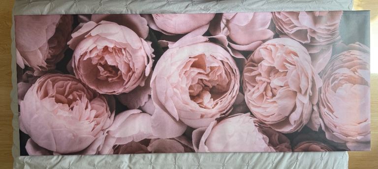 Large Pink Peony Flower Wall Canvas Picture
