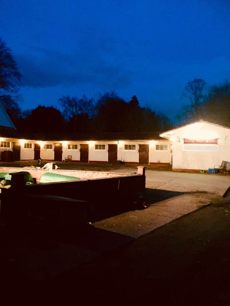 HORSE MANURE .... FREE