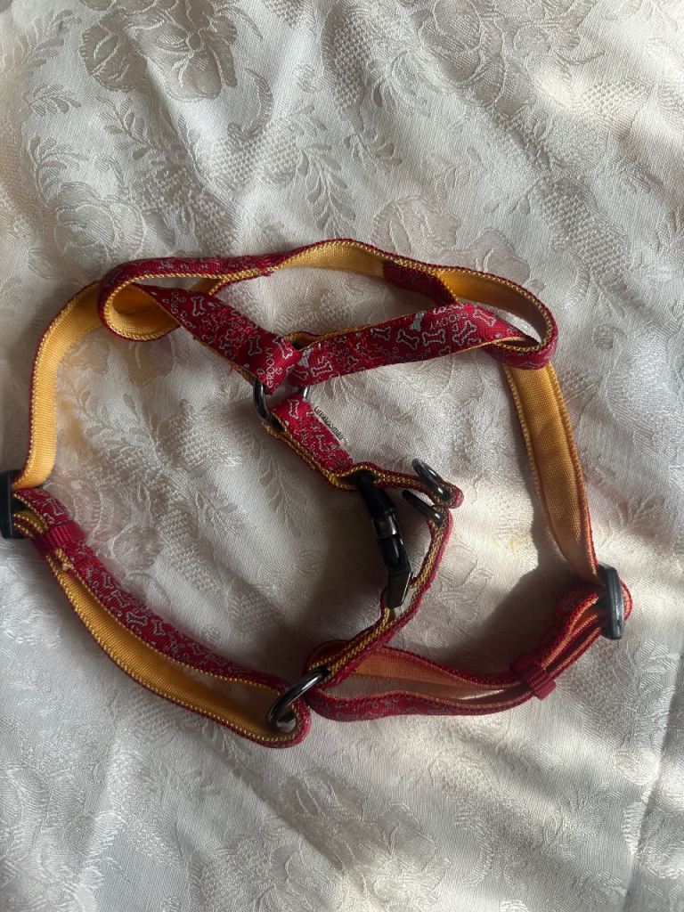 Gryffindor Harness
