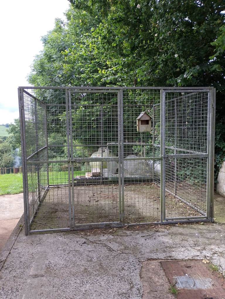 Dog Kennel / Run