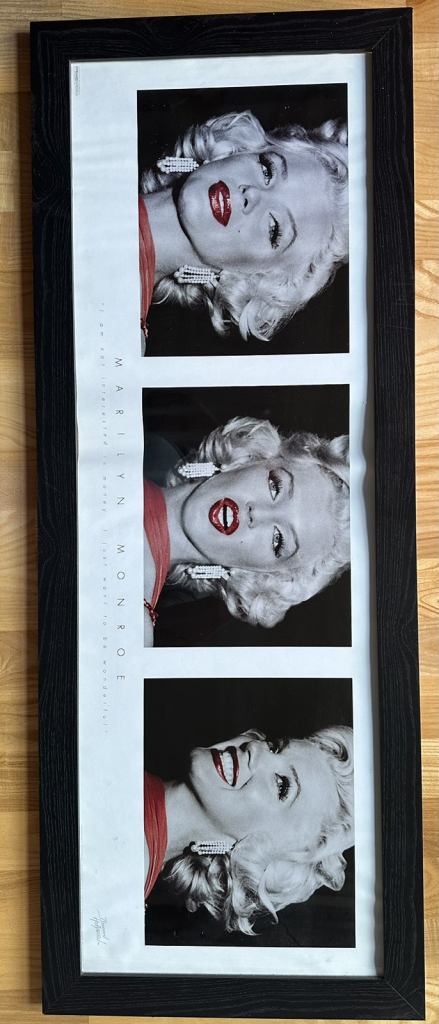  Black Ash Frame 39in X 15in