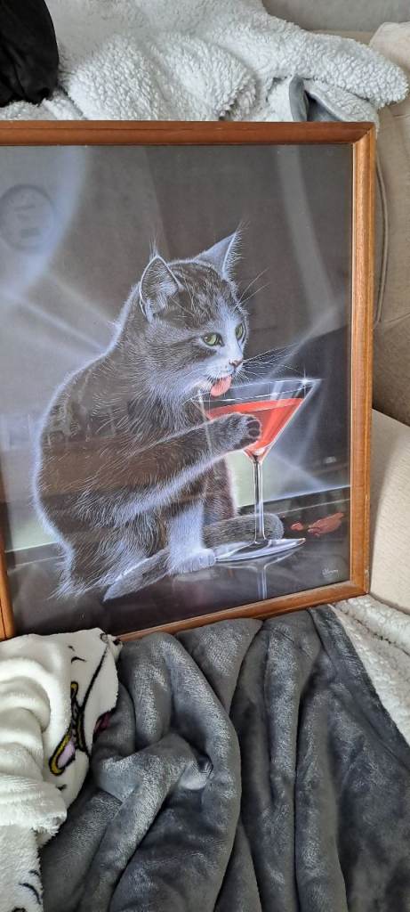 Funny Cat with Cocktail Framed Picture – Good Condition