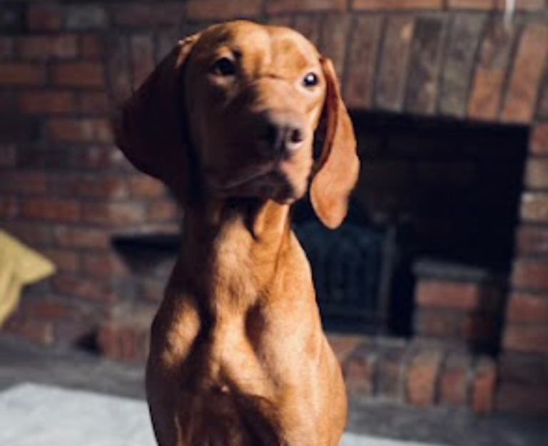 Be My  Fugge New Chapter 