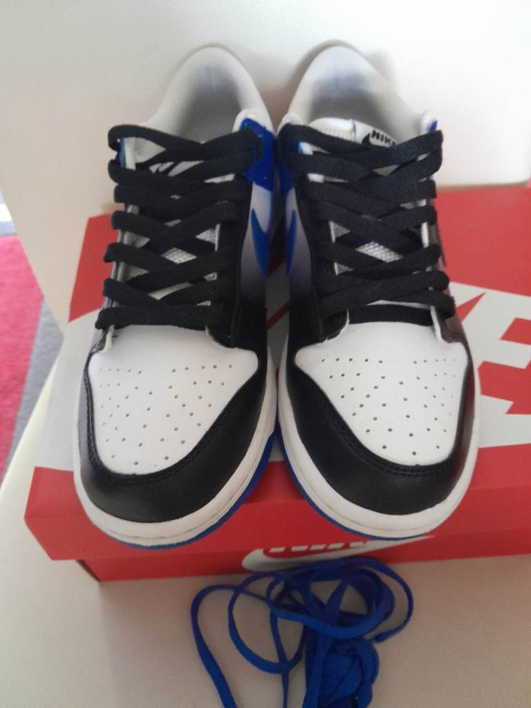 Nike dunks 