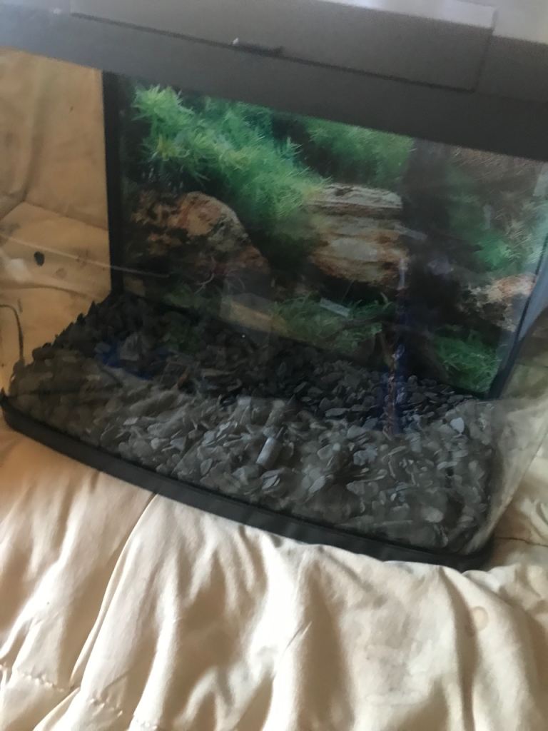 Glass tank for pet reptile/ insect/ lizard etc with light