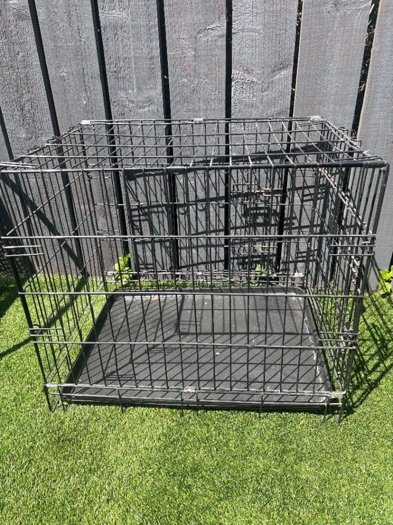 Dog cage 