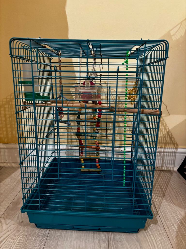 Large Bird Cage + Toys + Food + Supplements Bundle