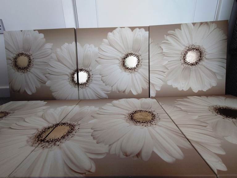 image for 6-Panel Floral Wall Art – Beige Daisies – 2x 3-Piece Sets – 45x45cm
