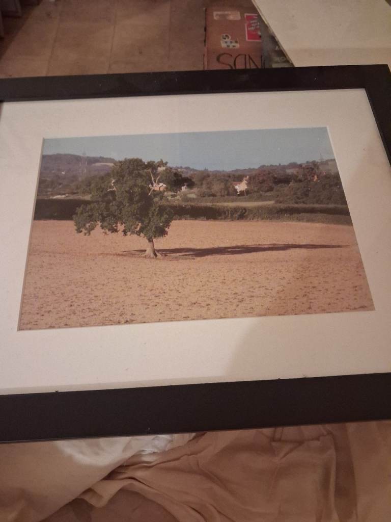 Five mounted and framed photographs for sale
