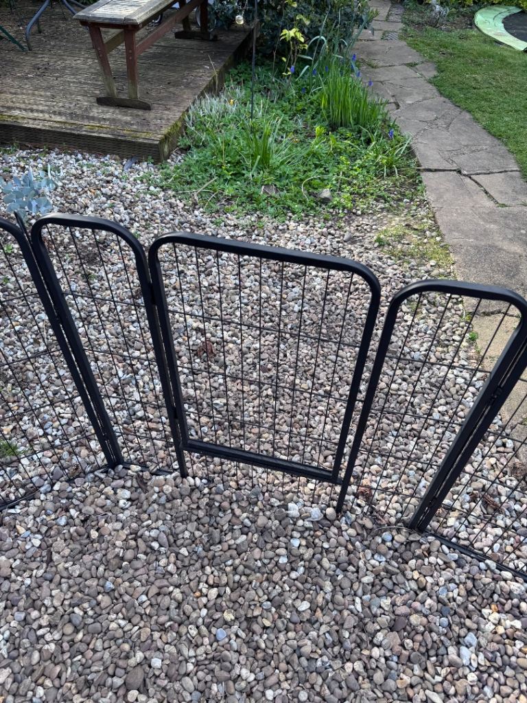 Puppy/dog fencing 