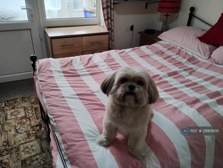 1 bedroom in Lexington Drive, Hull, HU4 (#2990609)