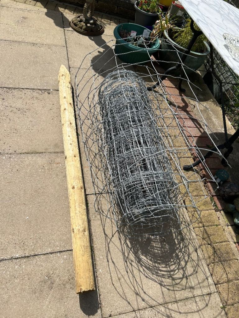 Wire fence 