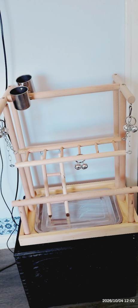 Playperch 