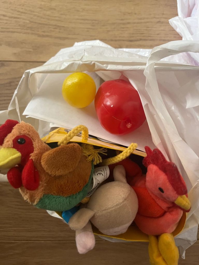 Mixed Bag of Baby and Toddler Toys – Good Condition