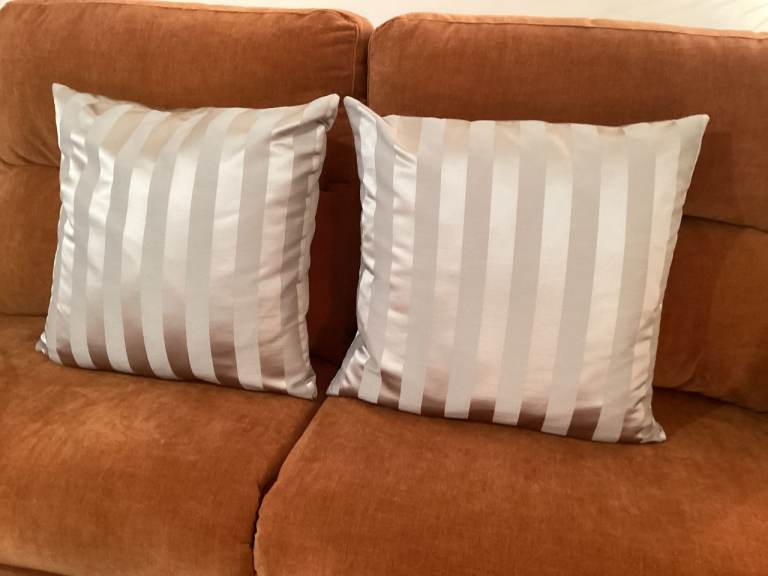 Pair of Large Cushions
