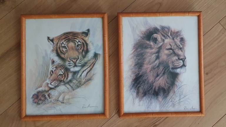 Pair Of Ruane Manning     Pictures/ Prints - Lion And Tiger