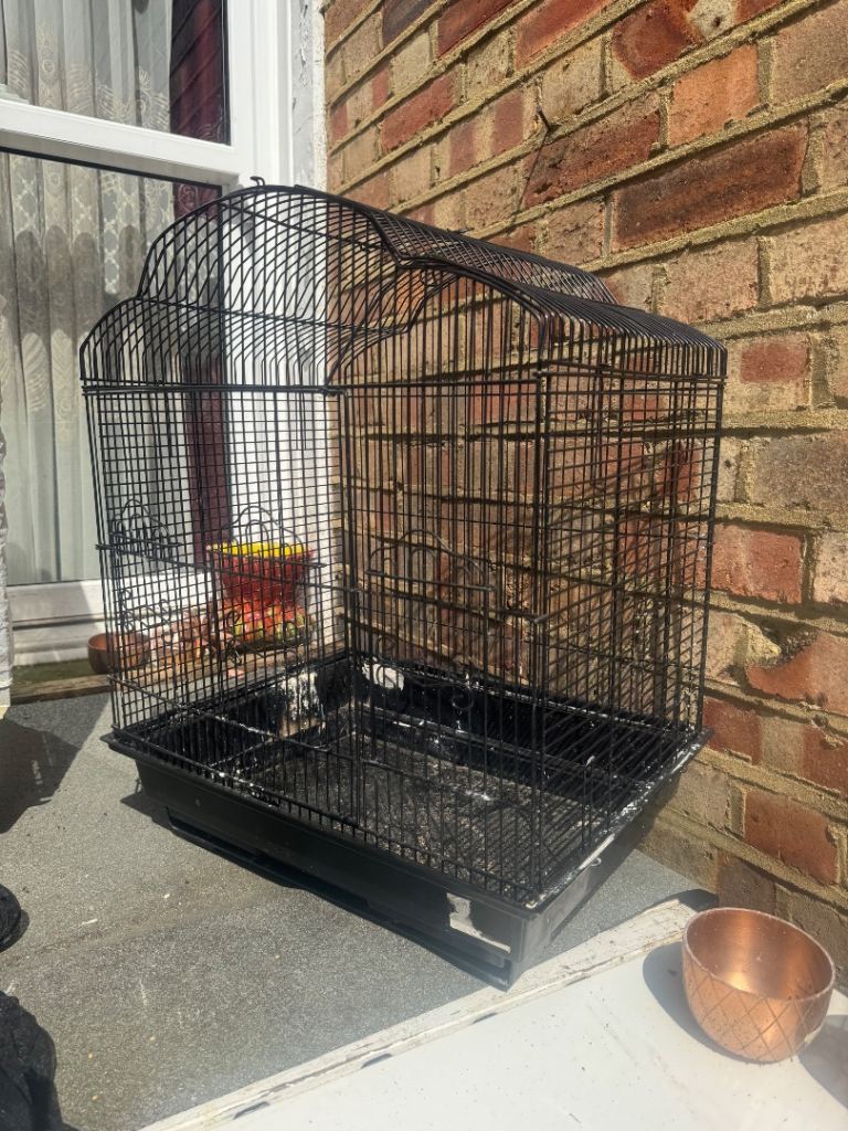 Birds cage 