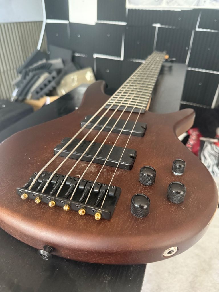 Ibanez 6 string 