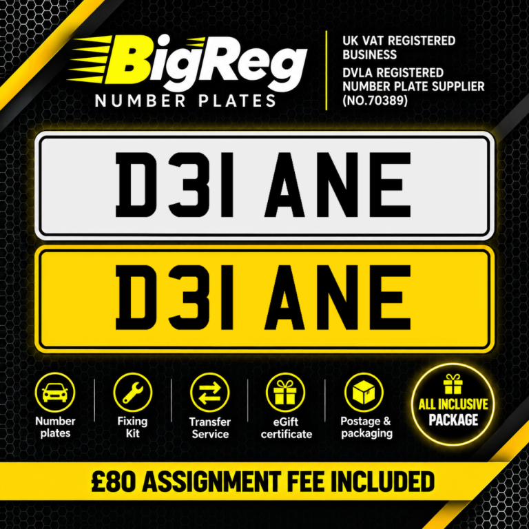 D31 ANE DIANE OLD PREFIX PRIVATE REGISTRATION CHERISHED NUMBER PLATE