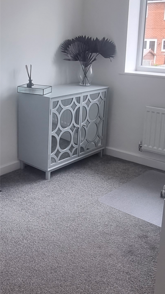 Delphi Mirrored Cabinet – Dunelm – Stylish Storage Unit
