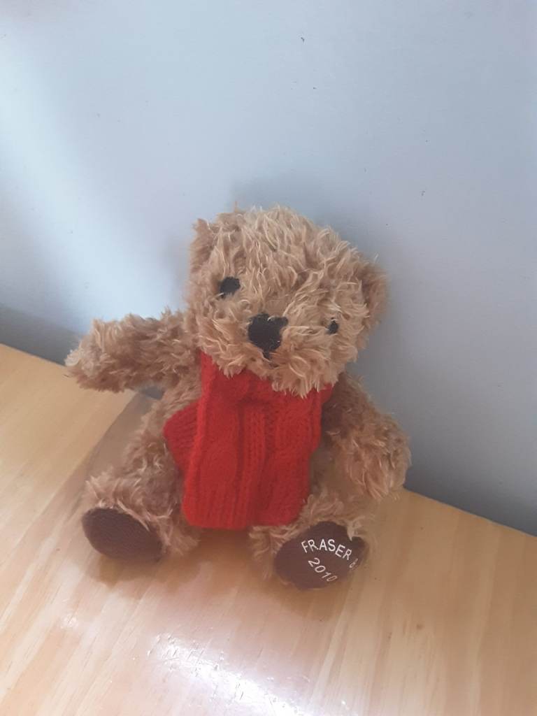 House of Fraser teddy