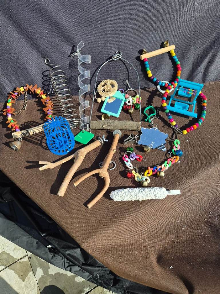 Budgie/ parrot toys