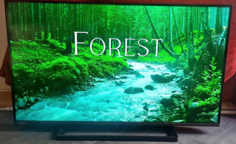 TOSHIBA Fire TV 43UF3F53DB 43" Smart 4K Ultra HD HDR LED TV with Amazon Alexa