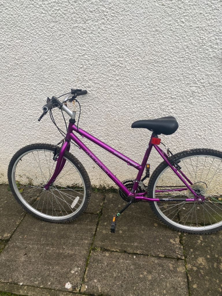 Adult bike free 