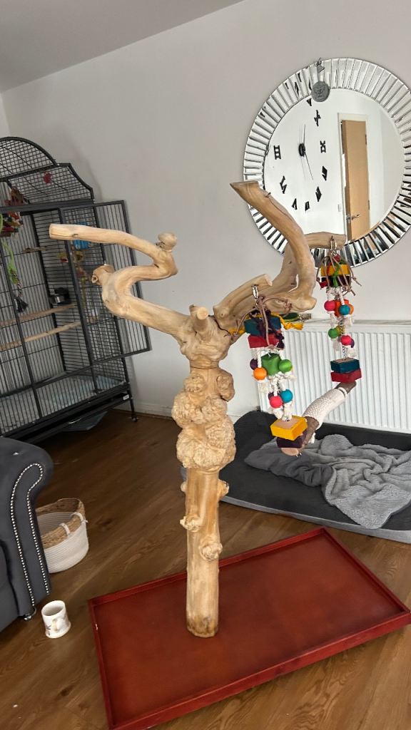 Parrot Java tree 