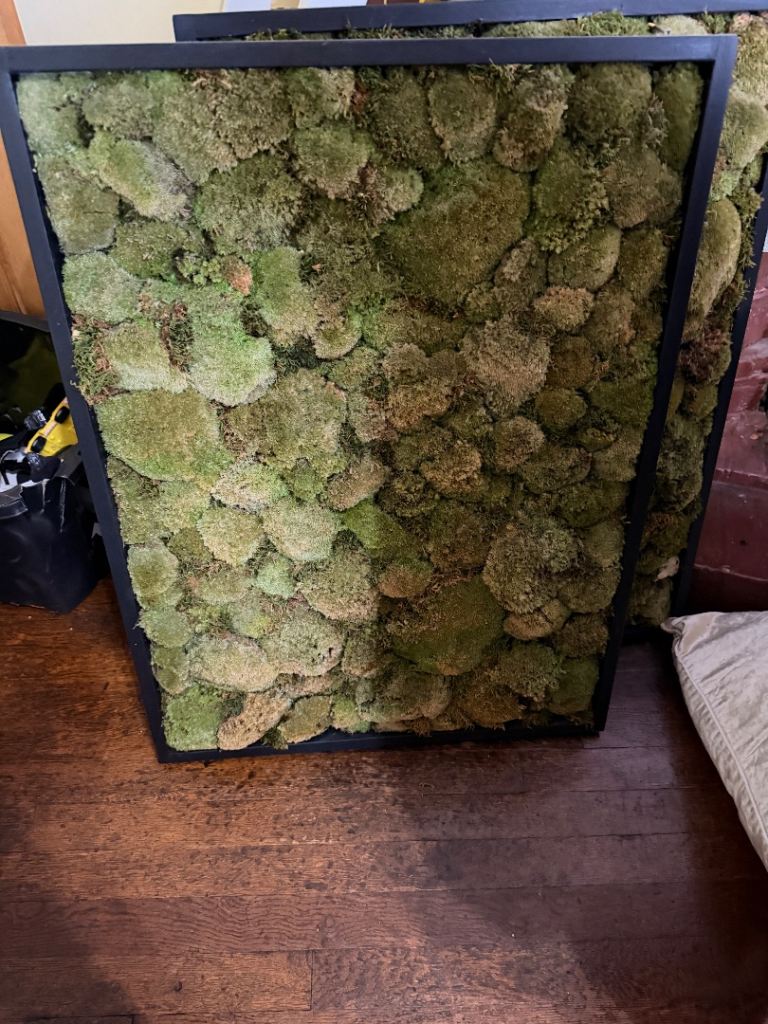 Moss art 