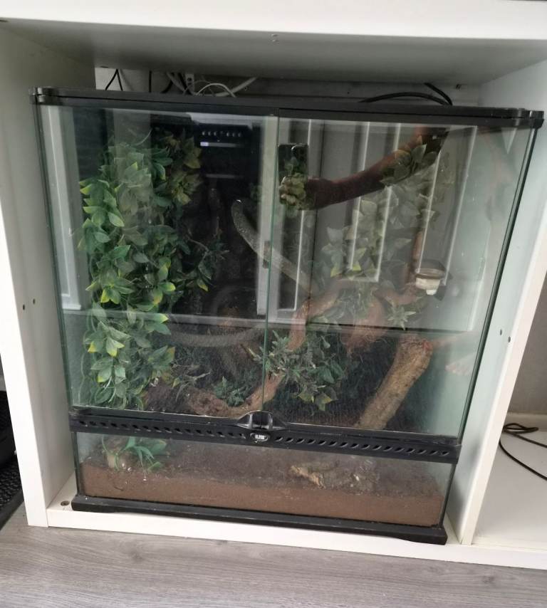 Exo terra terrariums for sale