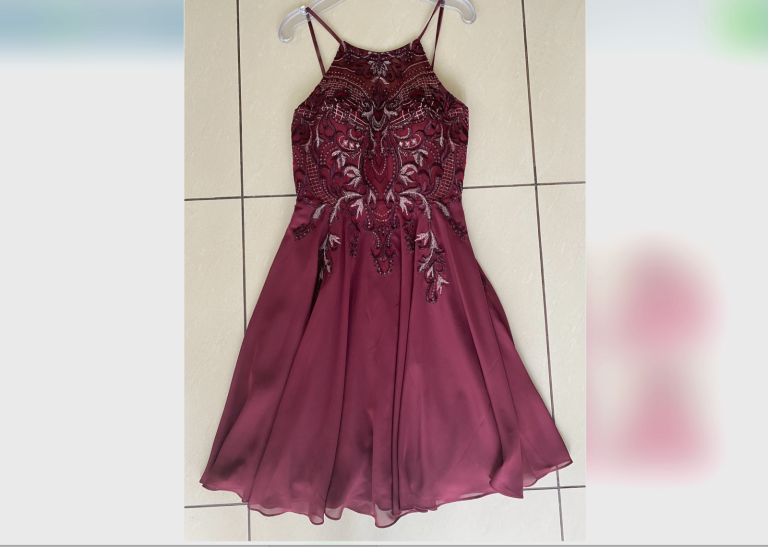 Elegant A-line Knee-Length 2-layer Chiffon Lace Dress With Sequins JJ's house, size 10 Never Worn