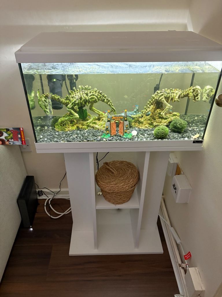 Fish and full set up