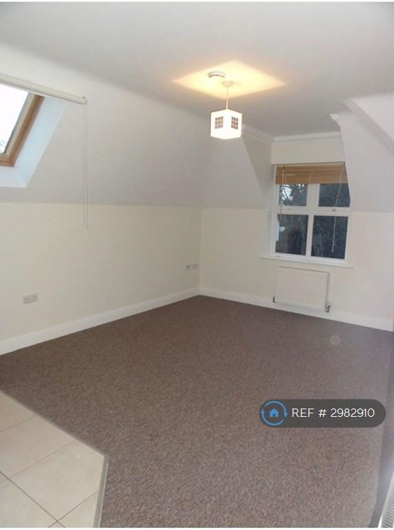 1 bedroom flat in Richmond Park Road, Bournemouth, BH8 (1 bed) (#2982910)