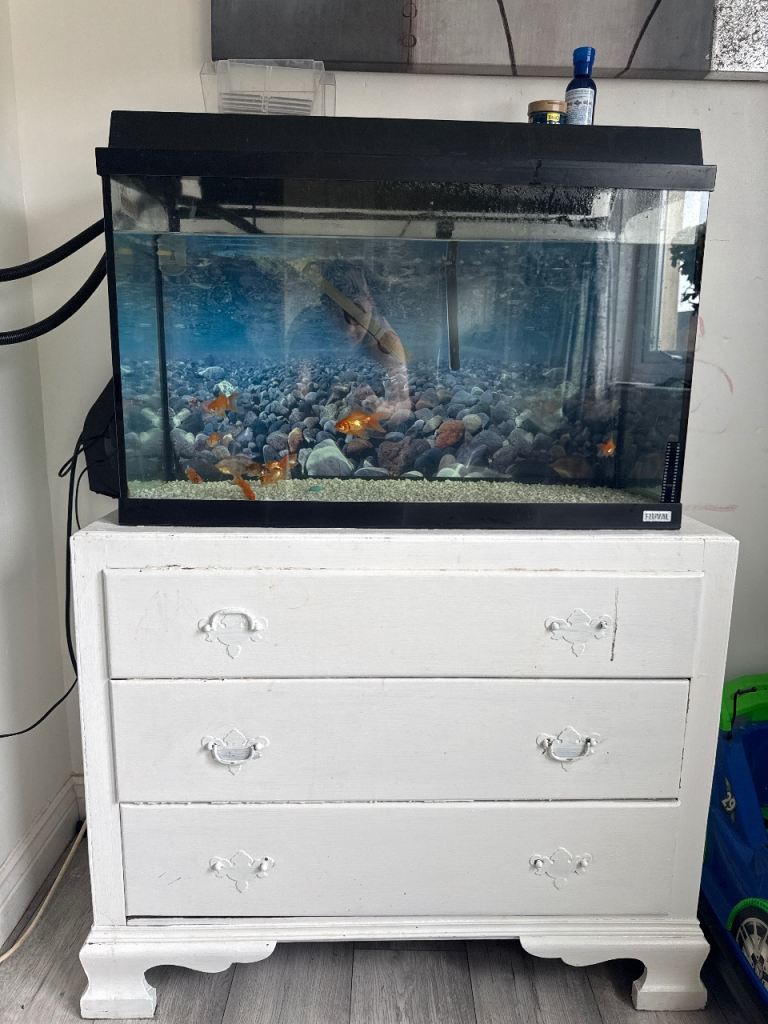 Open to offers 150l with 8 baby fish 