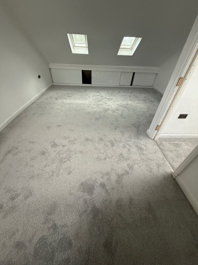 Carpet fitting and supply