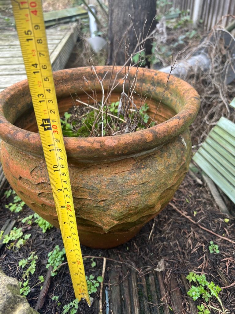 Large plant ceramic/Terracota pot
