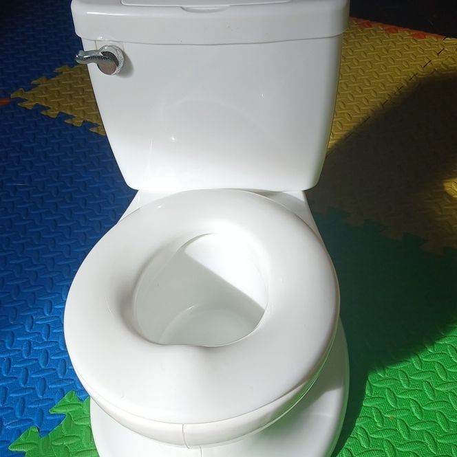 Training Potty with Flush Sound