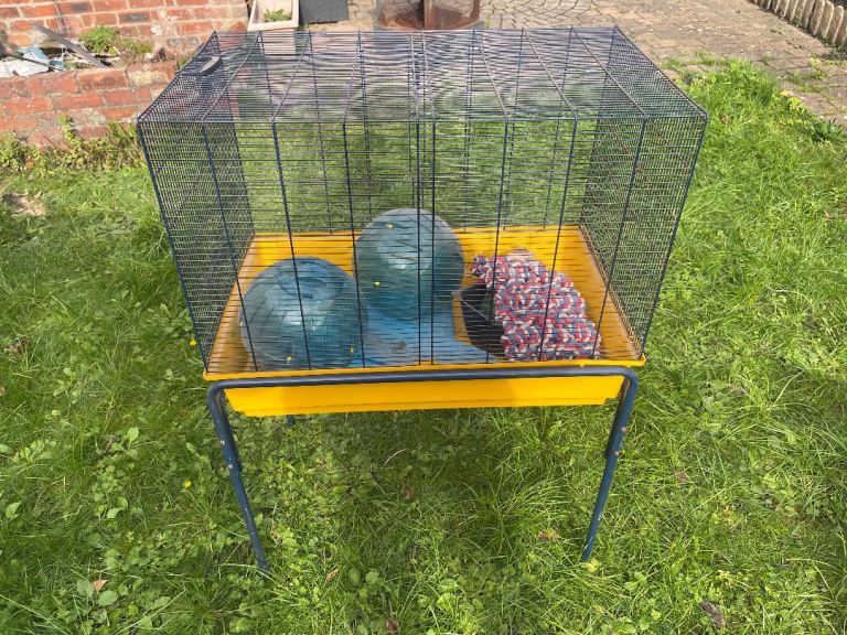 Hamster, small pet cage 