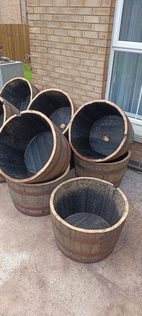 Oak barrel planters £25 each.