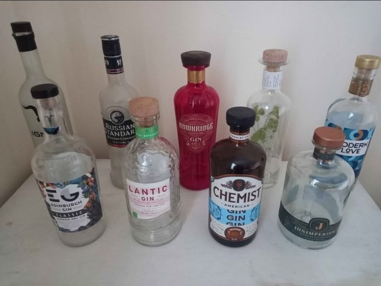 Empty Craft Gin Bottles Craft Upcycling