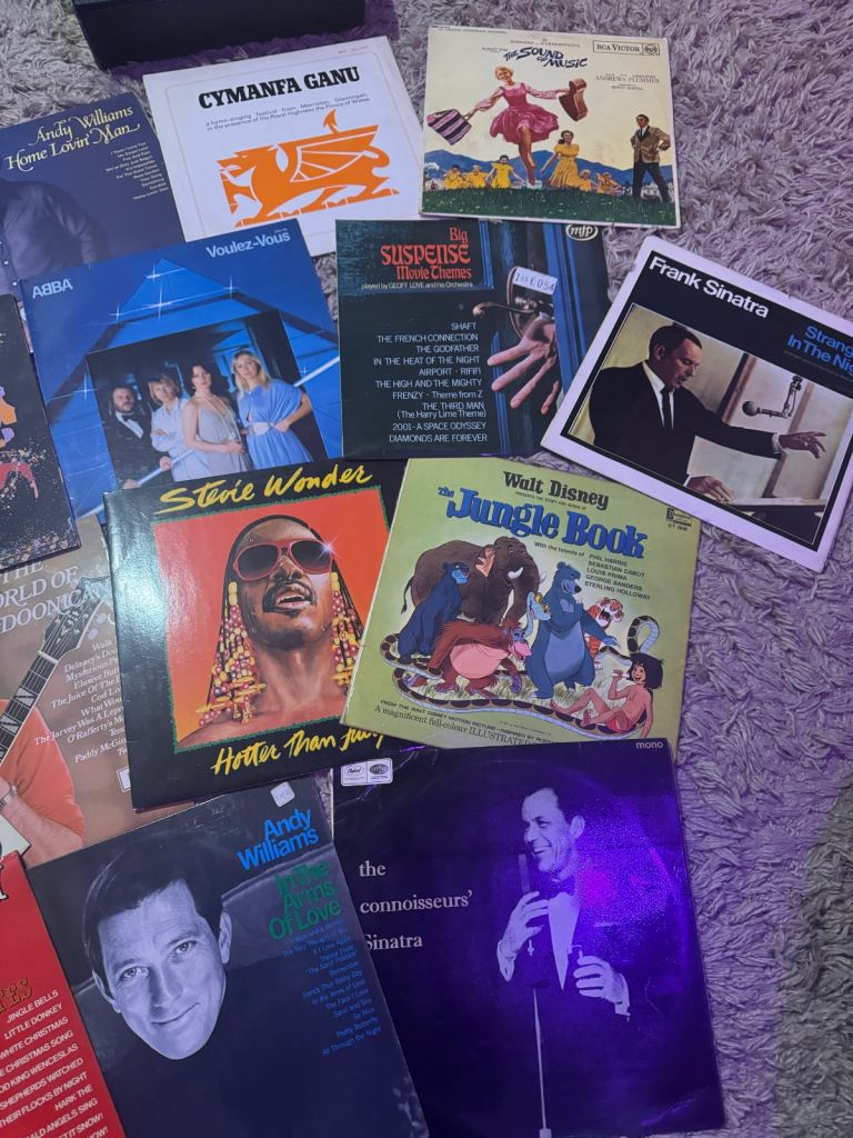 Vinyl Record collection + Box and Key 