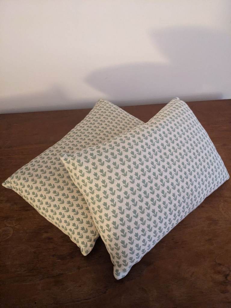 Pair of cushions 