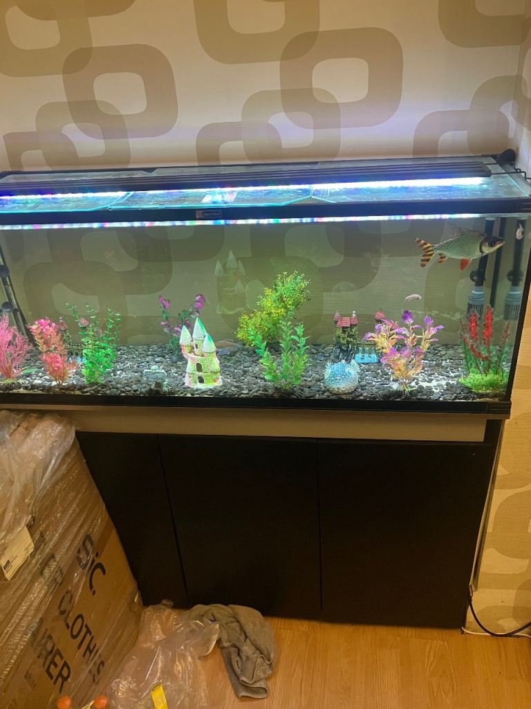 Large Fish Tank Aquarium with Dark Cabinet and Decor