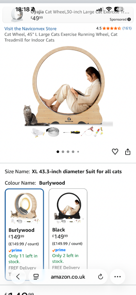 Cat Treadmill 